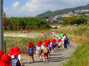 芋掘り（年中組・年長組）