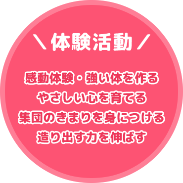 体験活動（感動体験・強い体を作るやさしい心を育てる・集団のきまりを身につける・造り出す力を伸ばす